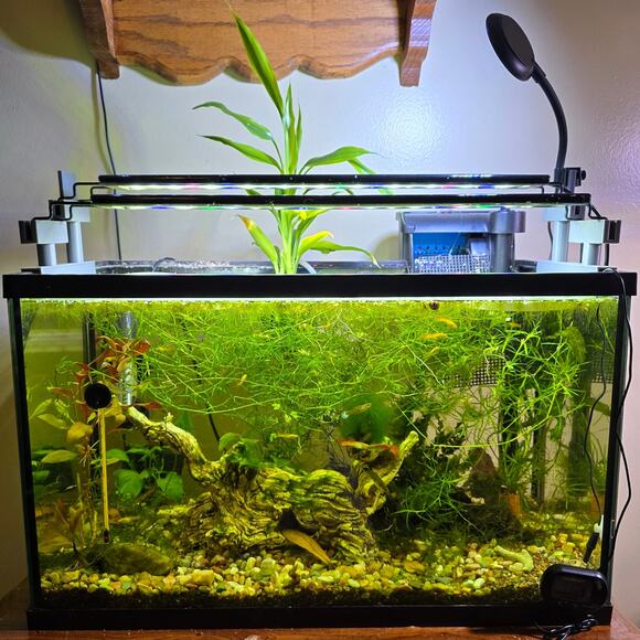 Hydroponic Aquarium Light Risers Staggered Teared Extended Dual Tab Rimmed Tanks - Picture 1 of 16